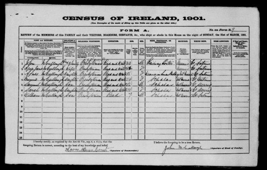 Ireland 1901 Census
