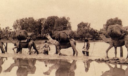 Highlight: Australia’s Muslim Cameleers: Pioneers of the Inland 1860s-1930s